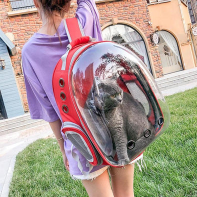 Pet Clear Backpack Carrier